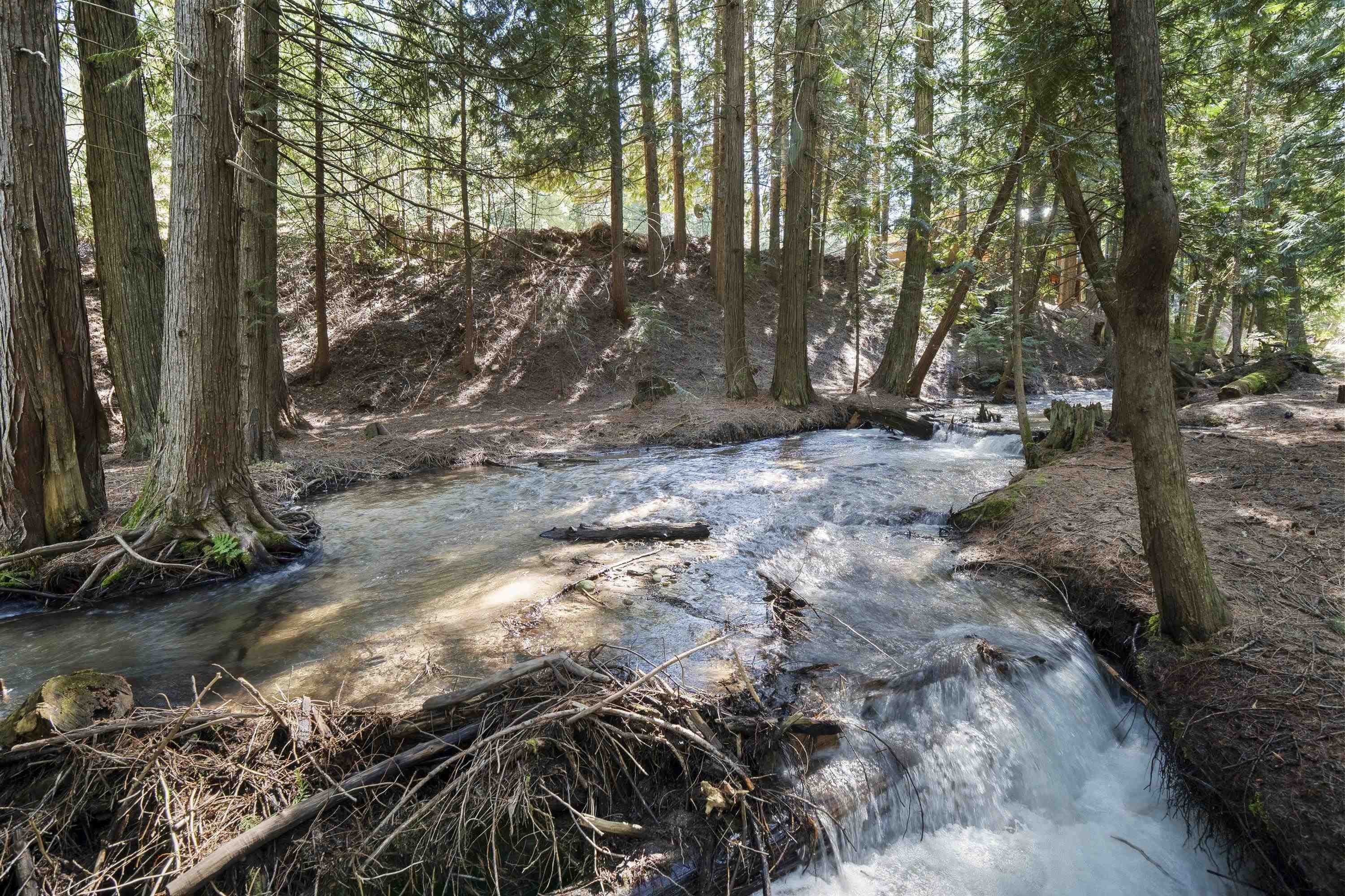 Land with Creek Frontage