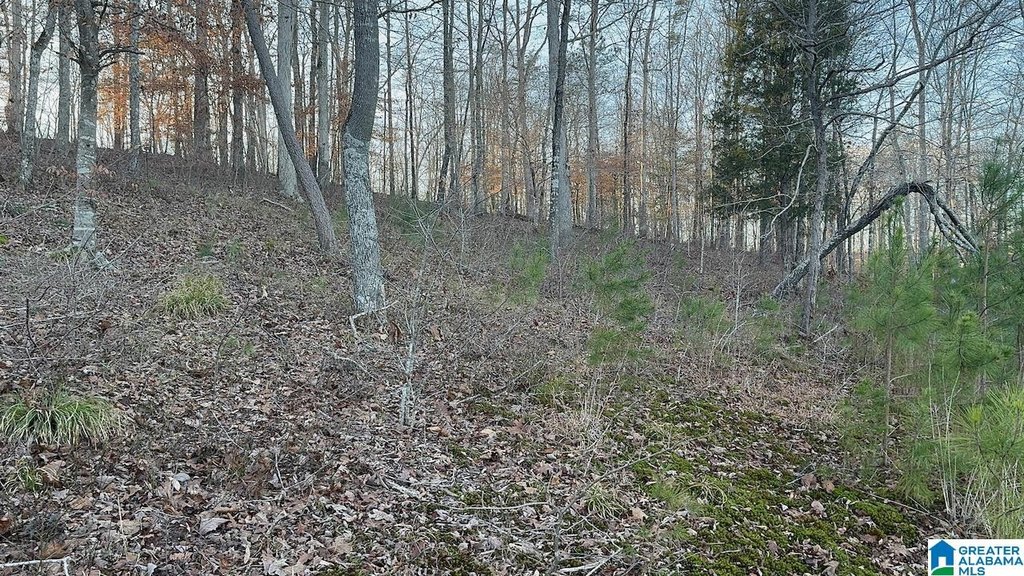 Picture 9