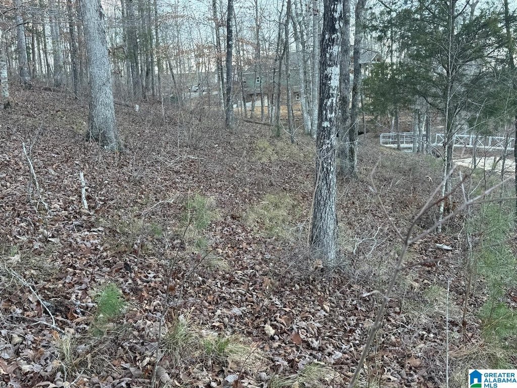 Picture 17