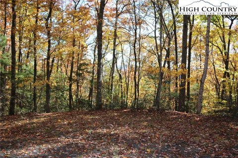 Wooded Lot in Cabin Neighborhood