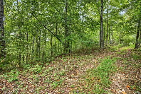 Land, Celina, TN