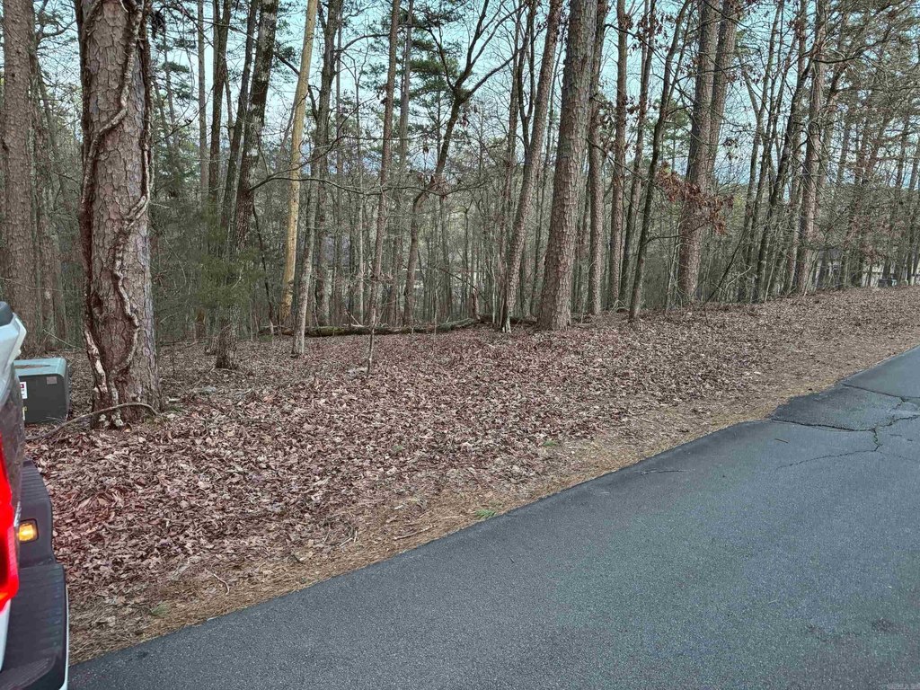 Picture 2