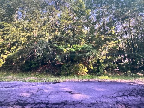 Vacant Lot on The Trace