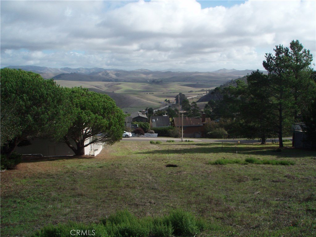 Picture 4