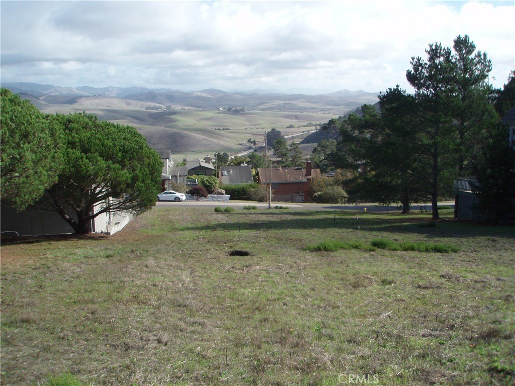 Picture 3