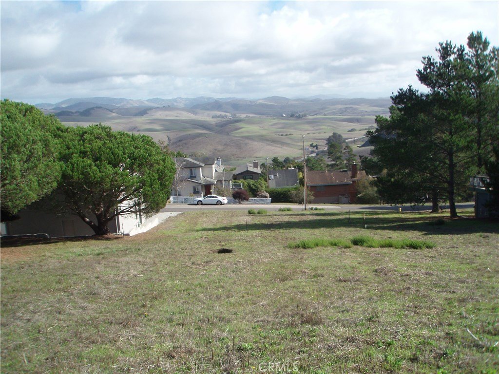 Picture 6