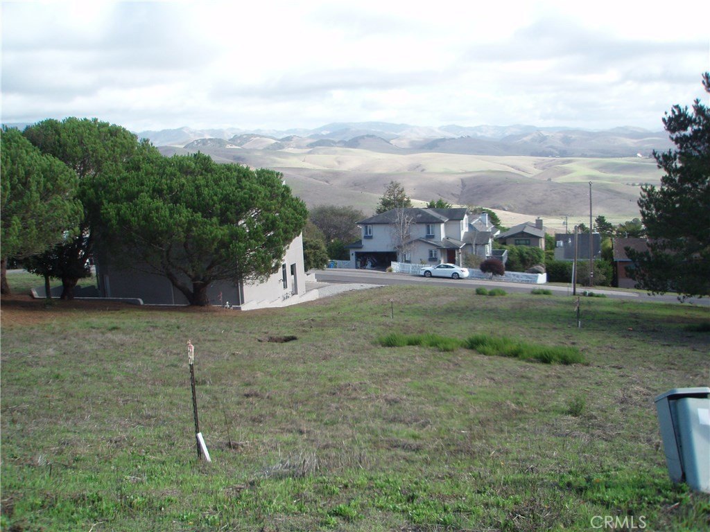Picture 5