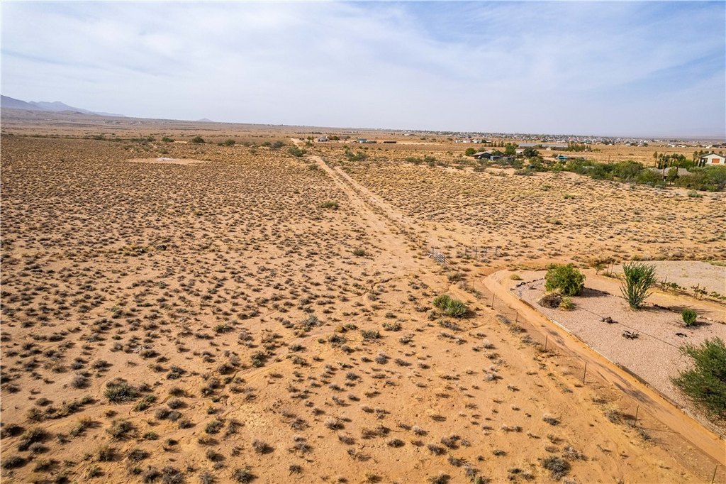 Picture 21