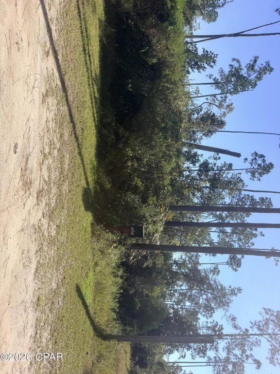 Picture 6
