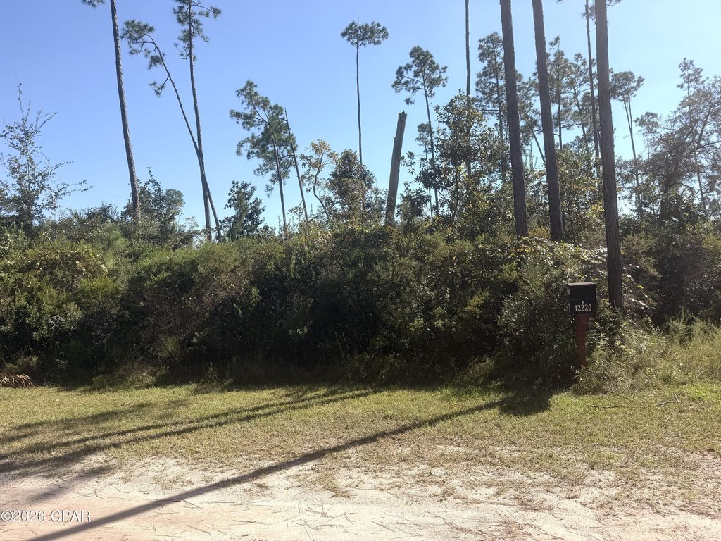Picture 4