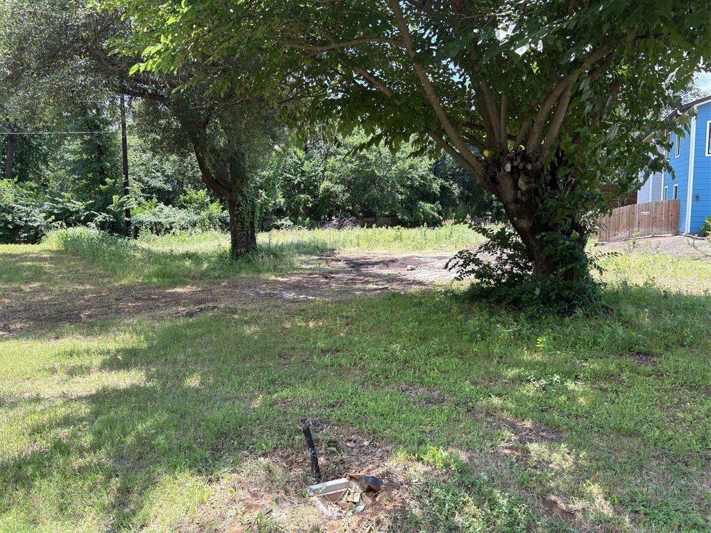 Picture 4