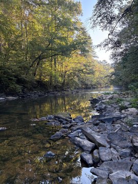 LAND - Jasper, AL