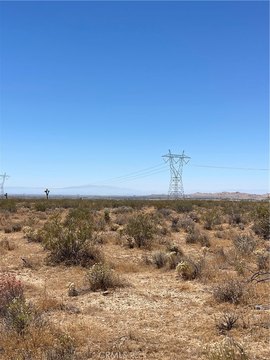 Vacant Land Parcel with Open Space