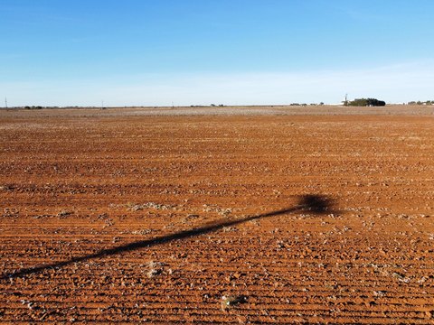 Land, Ropesville, TX