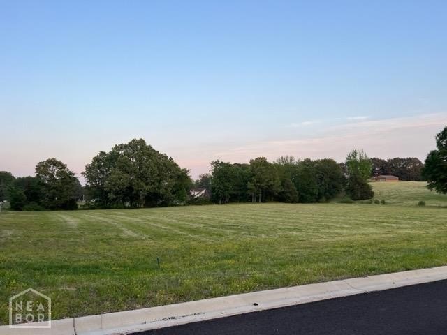Picture 11