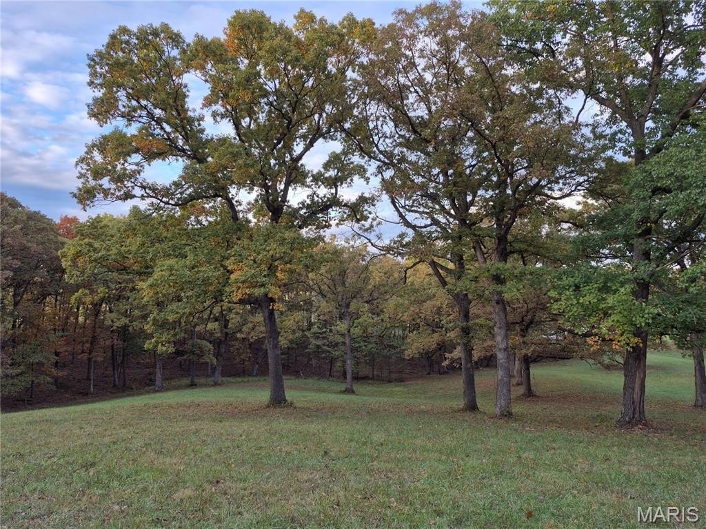 Picture 10