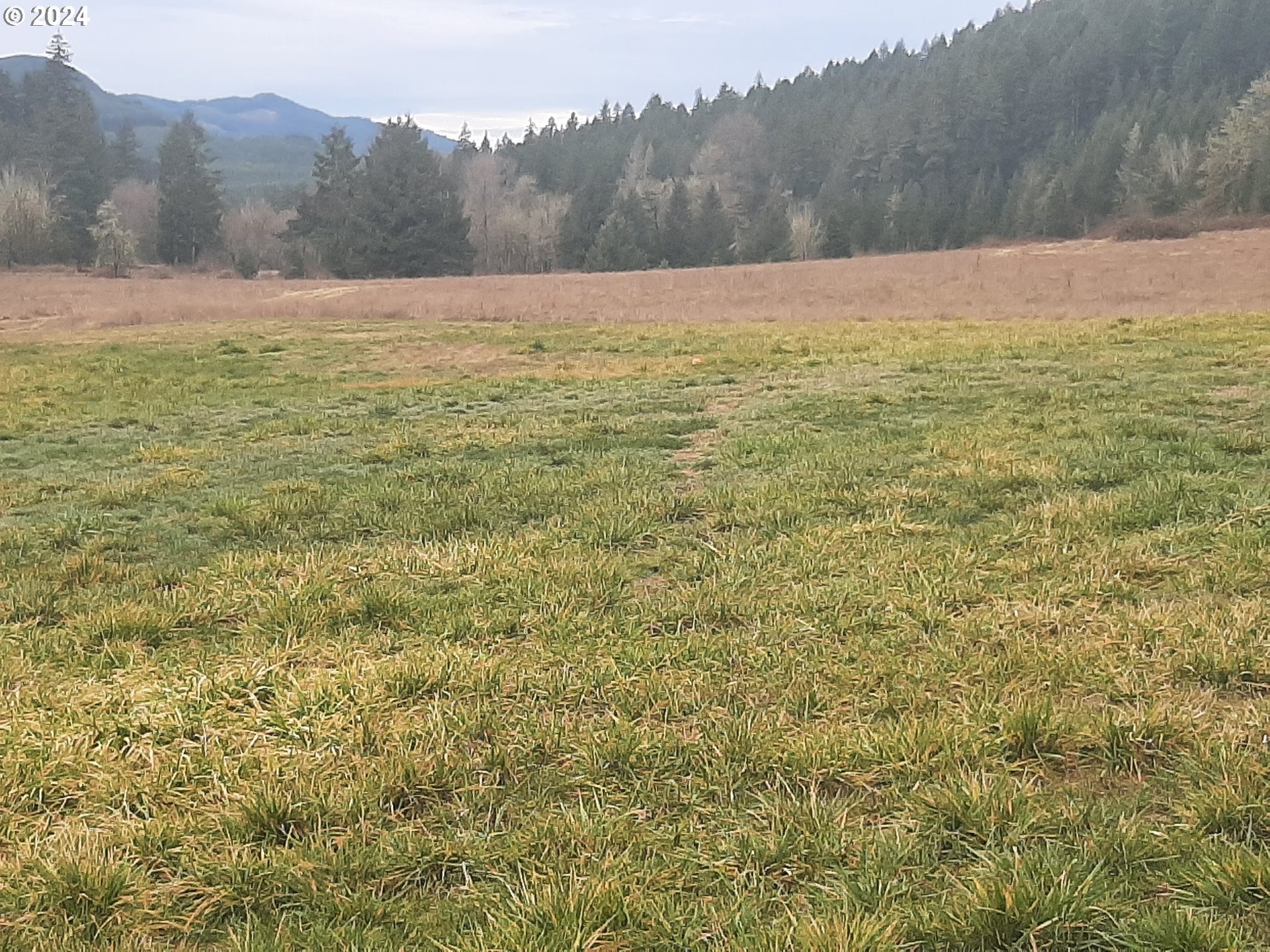 Scenic Dorena Land Parcel