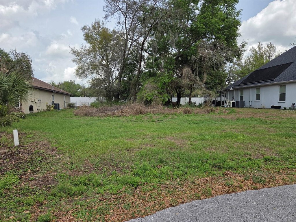 Picture 2
