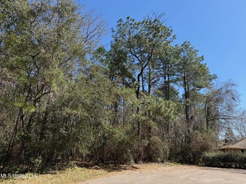 Residential Land in Diamondhead, MS