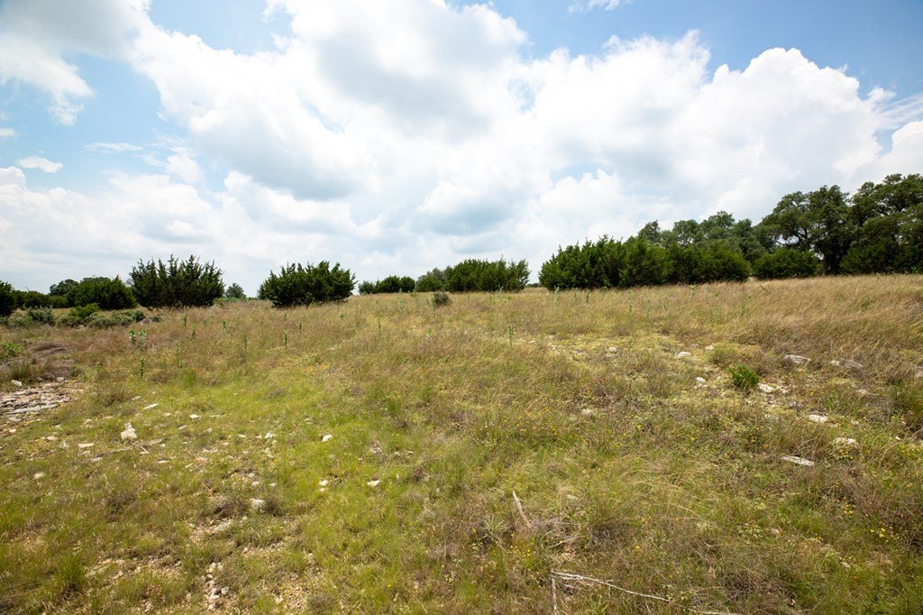 Picture 23