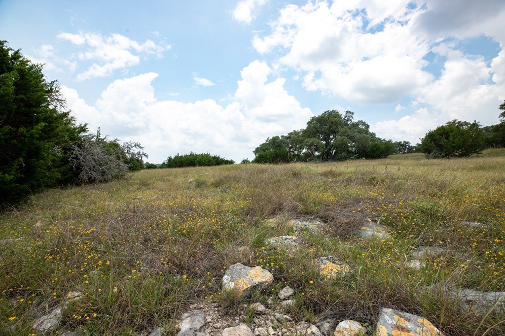 Picture 12