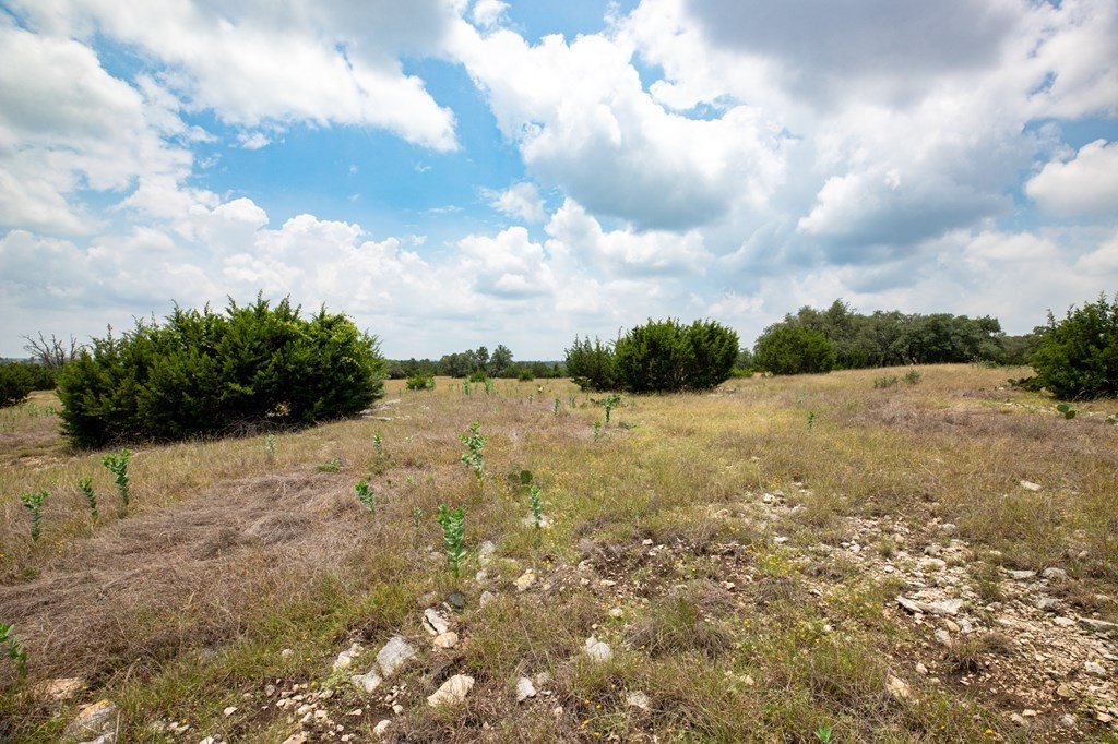 Picture 21