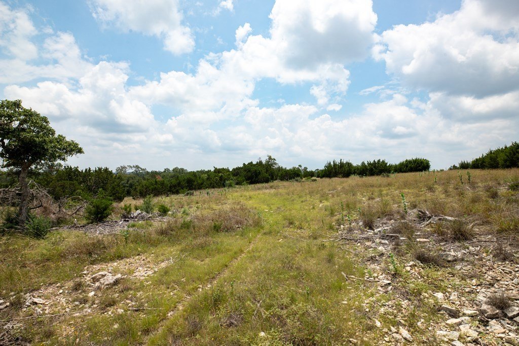 Picture 24