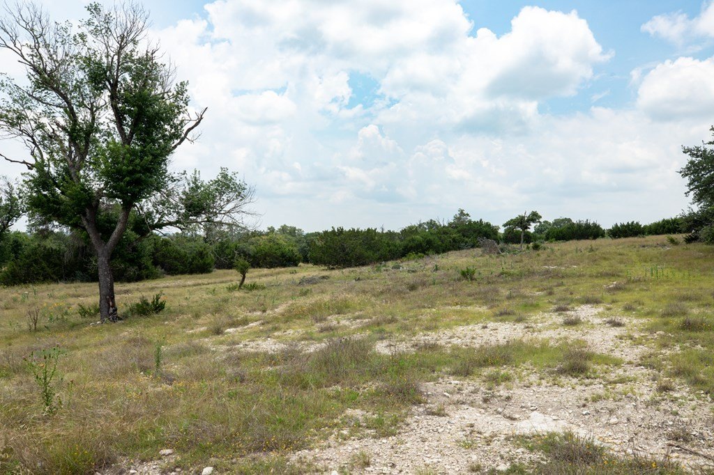 Picture 25
