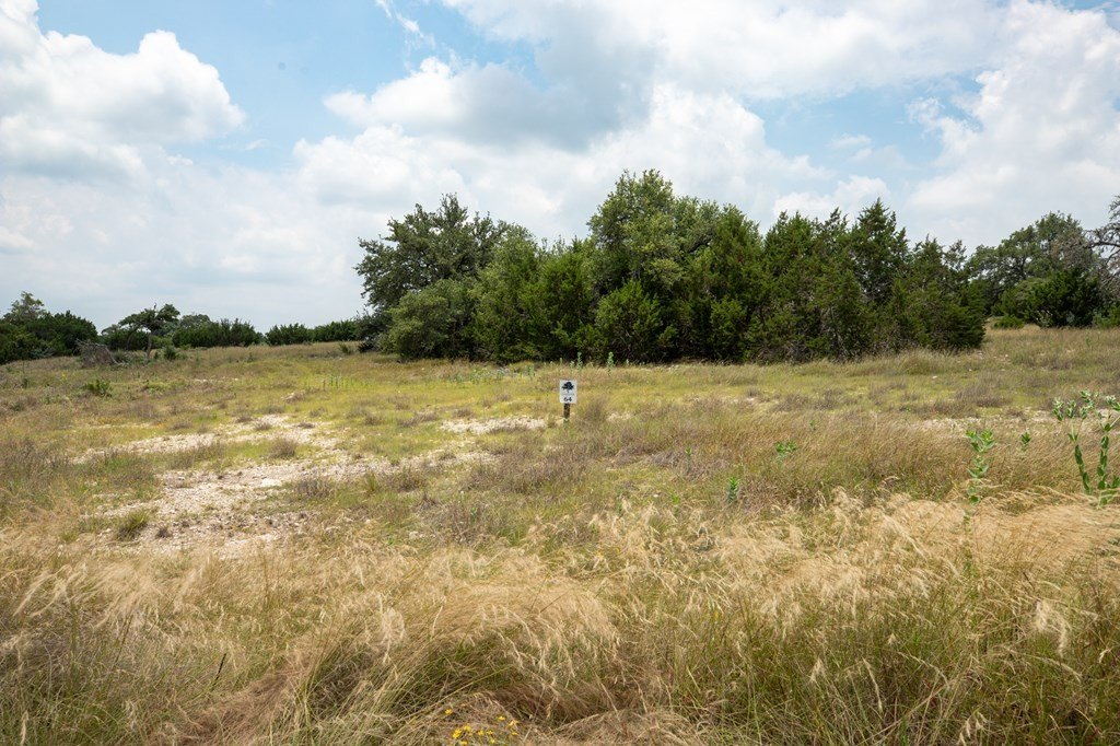 Picture 26