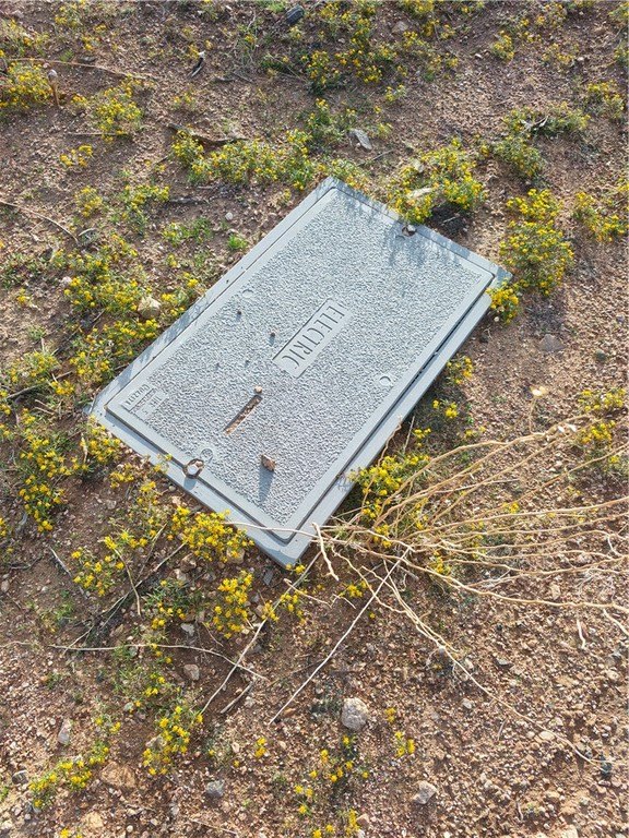 Picture 5