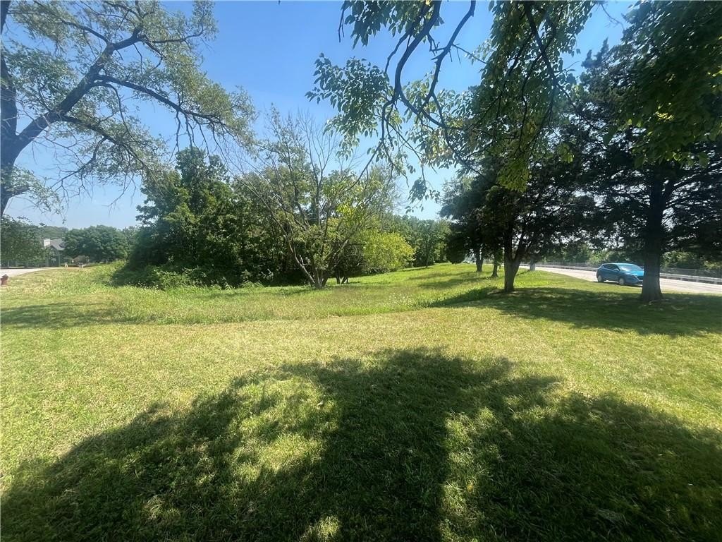 Picture 15