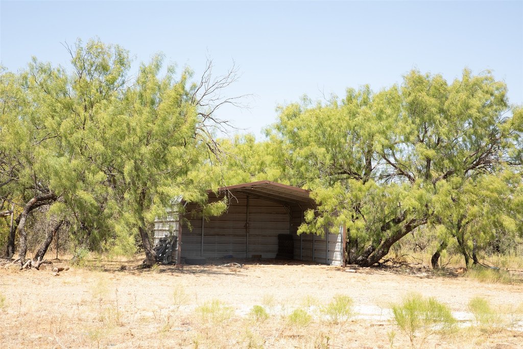 Picture 18