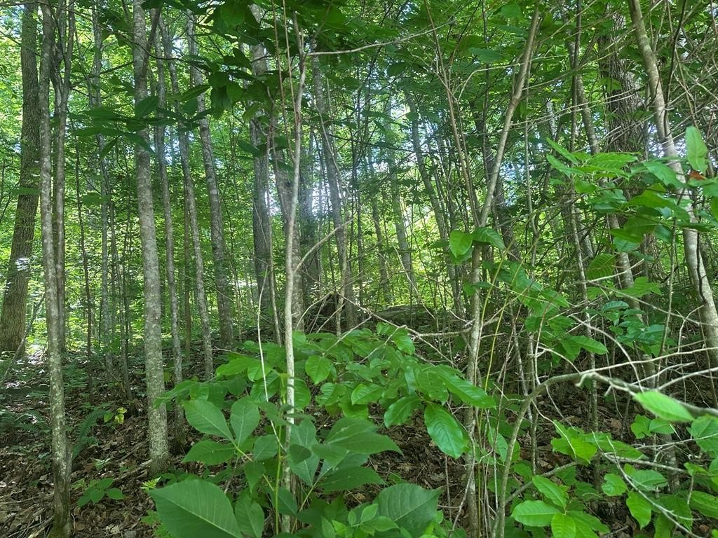 Picture 11