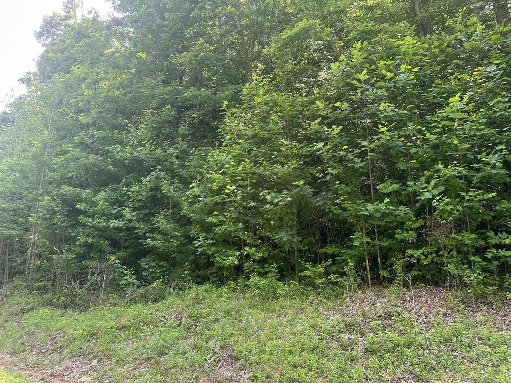 Picture 7