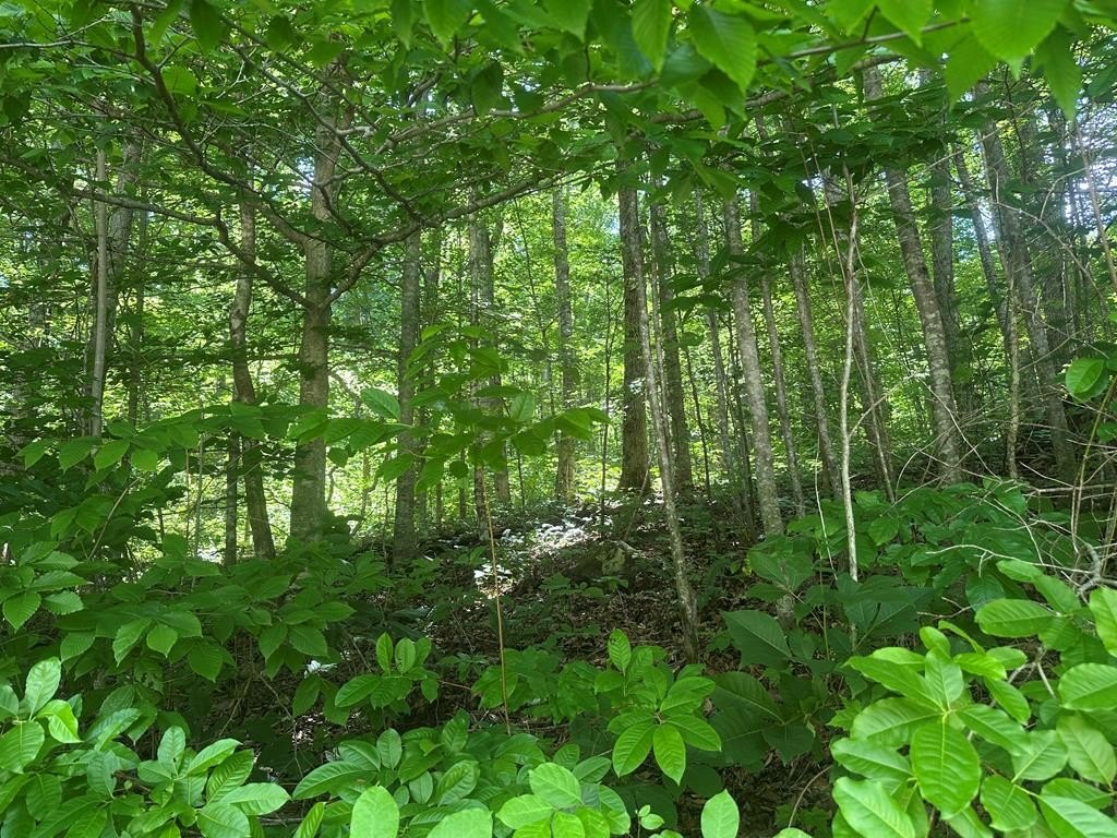 Picture 14