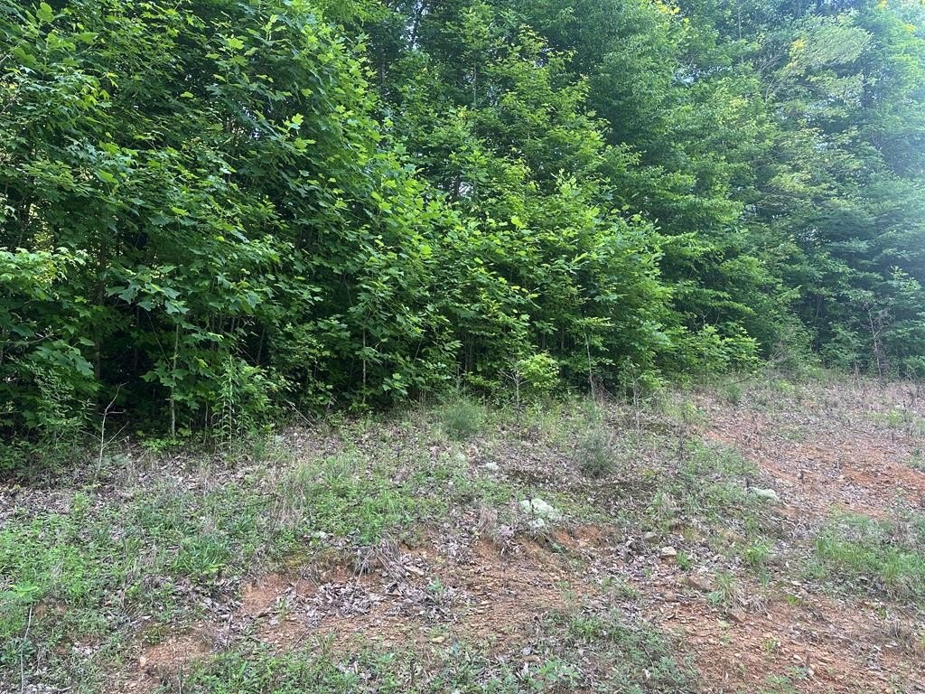 Picture 18