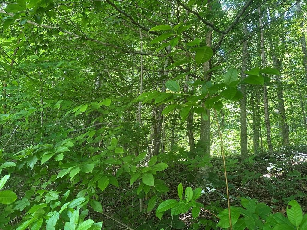 Picture 10