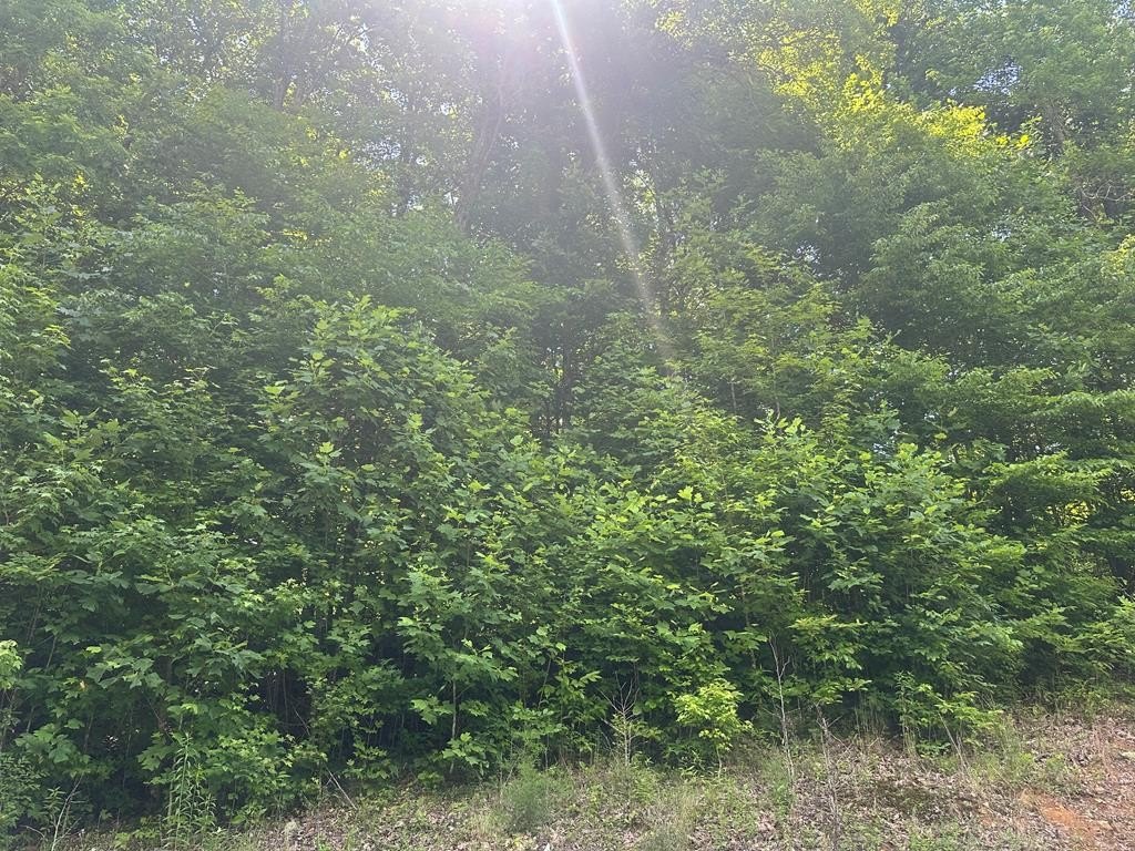 Picture 2