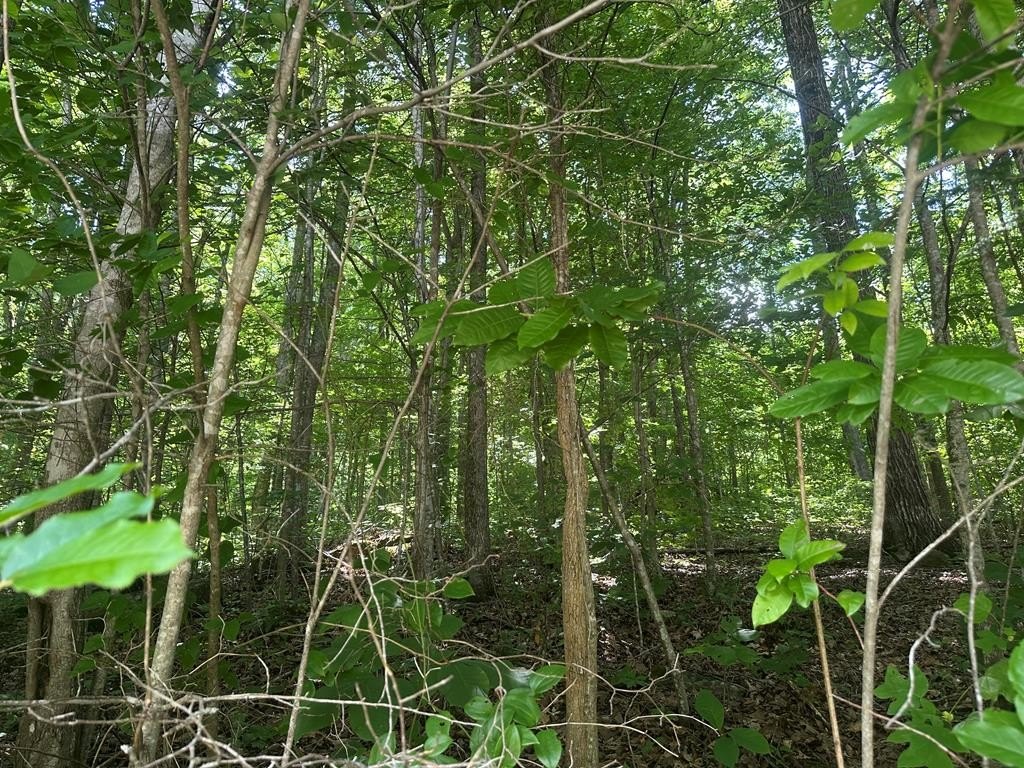 Picture 3