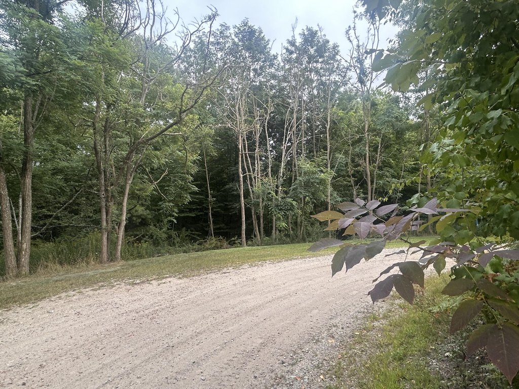 Picture 6