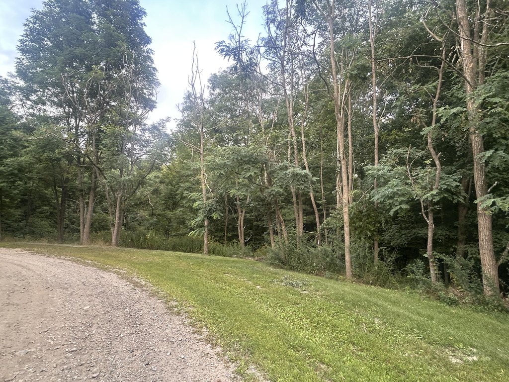 Picture 5