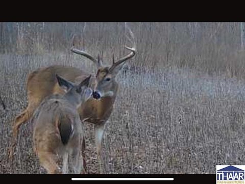 Turnkey Hunting Land with Pole Building
