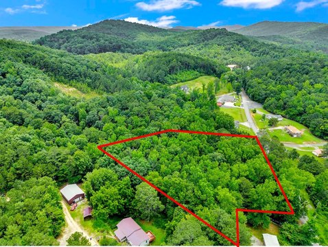 LAND - Oneonta, AL