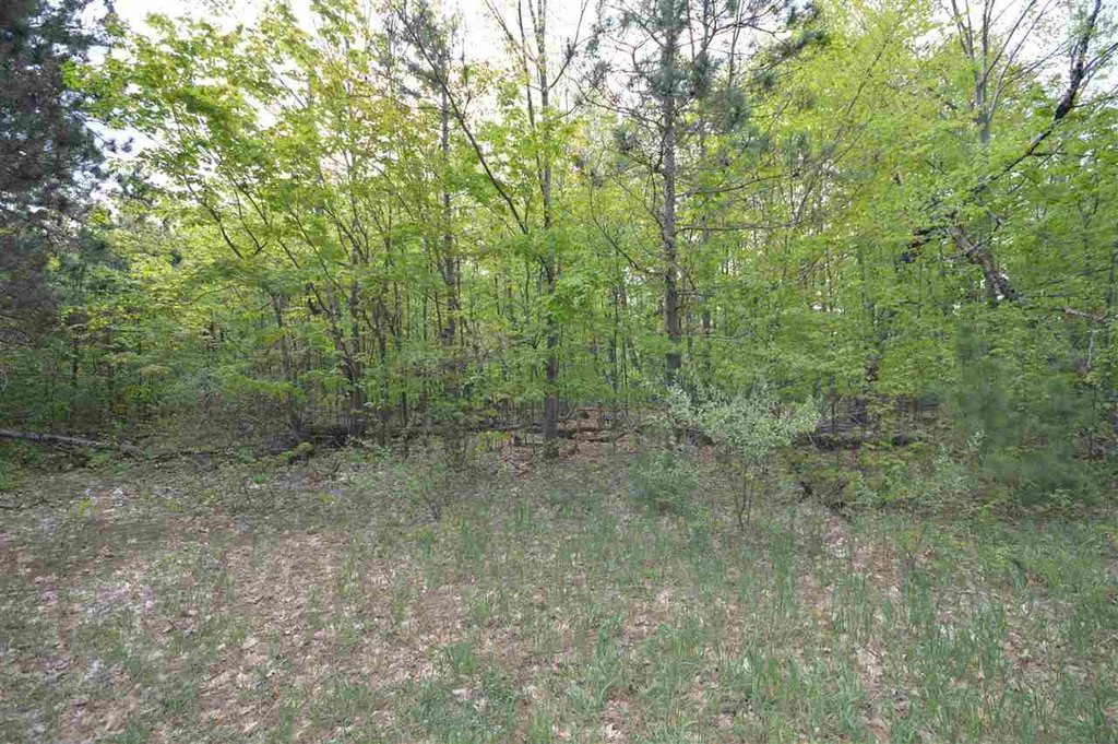Picture 43