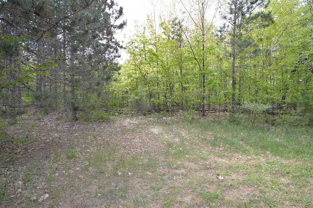 Picture 11