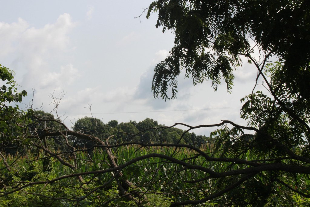 Picture 9
