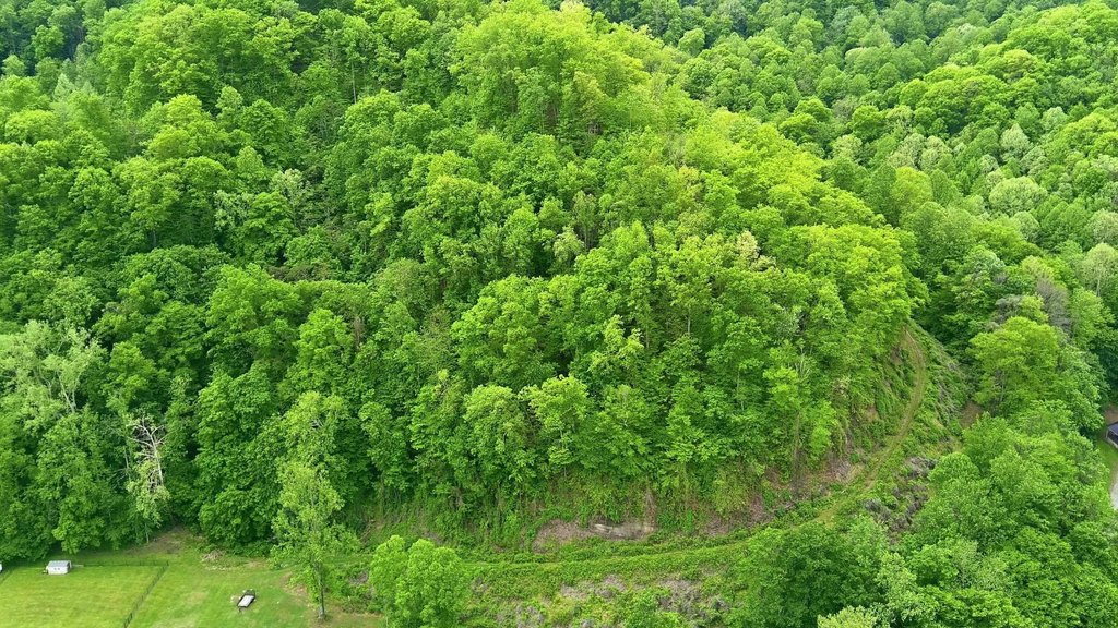 Picture 12