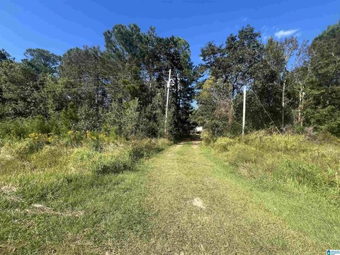 LAND/LOTS, FOLEY, AL