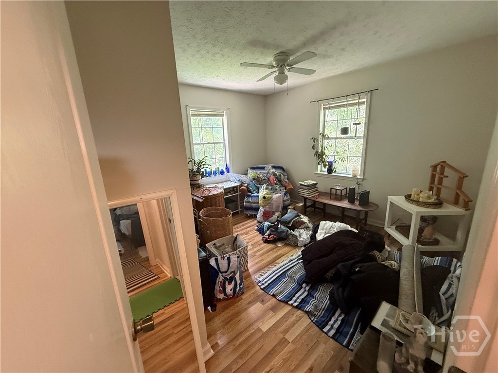 Picture 24