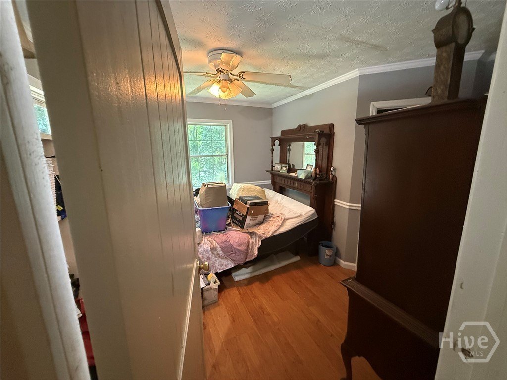 Picture 42